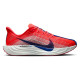 Nike Pegasus Plus W